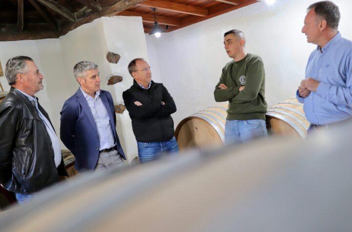 Michael Candelario: El joven vitivinicultor palmero que conquista mercados internacionales a sus 25 años
