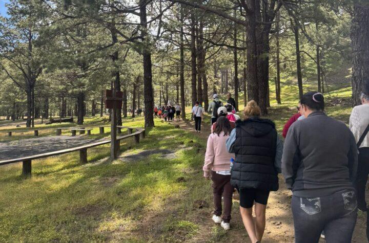 Más de 800 Participantes Celebran el Día Mundial de la Salud en El Hierro: Actividades y Conciencia Comunitaria