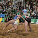 La Luchada Institucional Cierra con Éxito la III Semana Canaria de Juegos y Deportes Tradicionales