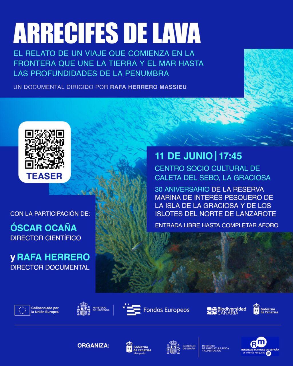30 Años de Éxito: Celebración del Aniversario de las Reservas Marinas de Lanzarote y El Hierro en el Gobierno de Canarias