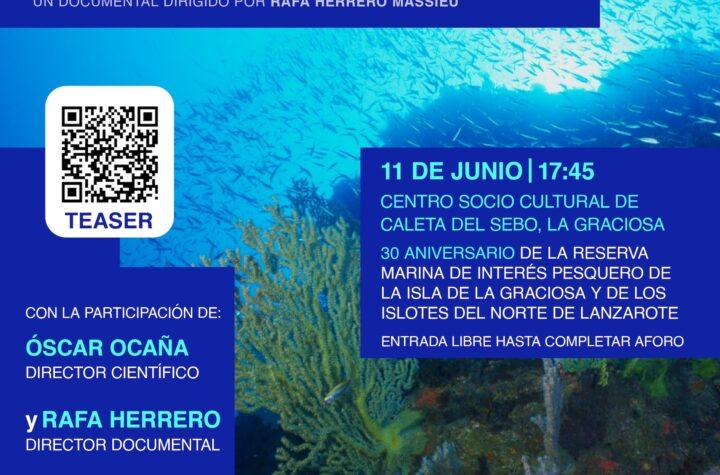 30 Años de Éxito: Celebración del Aniversario de las Reservas Marinas de Lanzarote y El Hierro en el Gobierno de Canarias