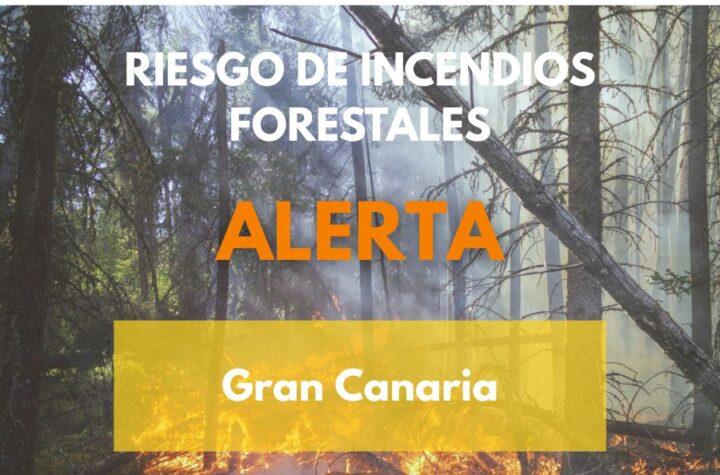 Alerta de Incendios Forestales en Gran Canaria: Gobierno de Canarias Toma Medidas Urgentes