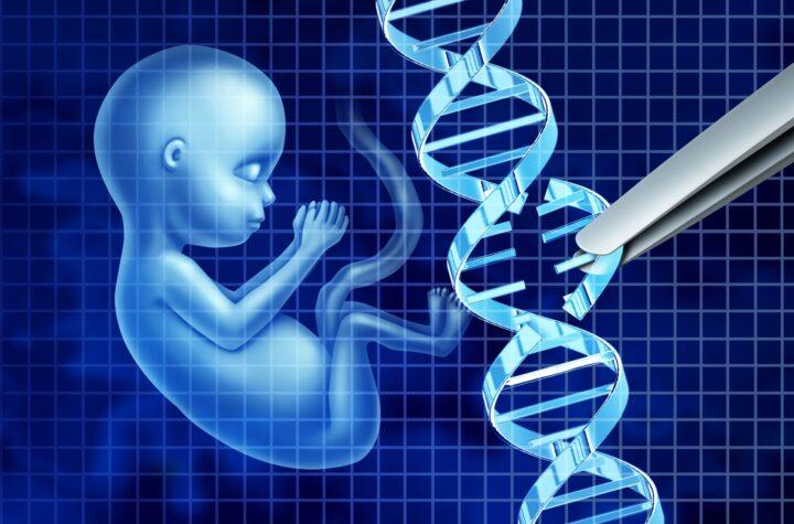 Avances en edición genética: ADN de embriones humanos modificado con precisión para un futuro de bebés genéticamente mejorados