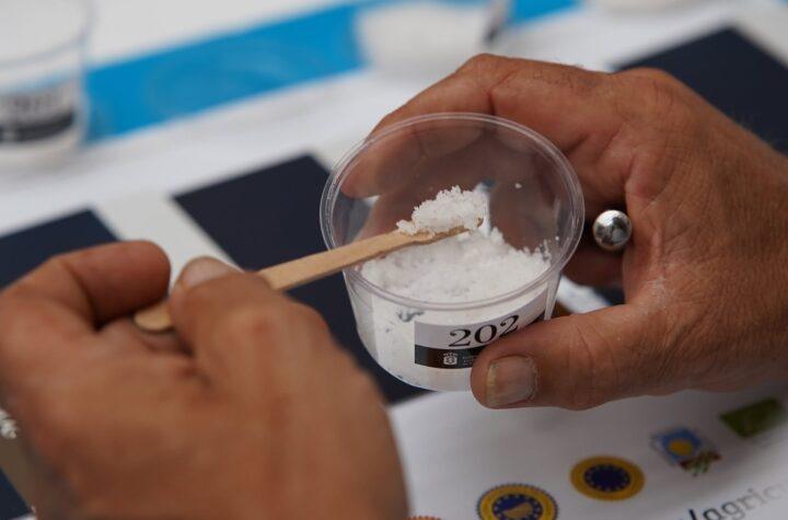 Concurso de Sal Marina Agrocanarias 2026: ¡Participa y Descubre las Oportunidades del Gobierno de Canarias!