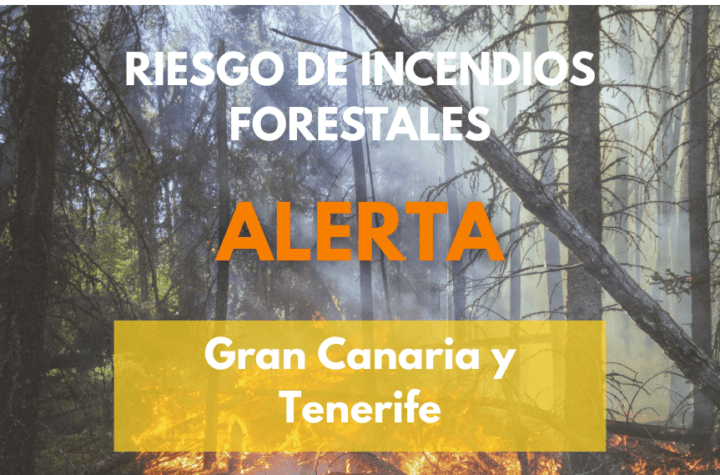 Alerta por Riesgo de Incendios Forestales en Gran Canaria y Tenerife: Medidas del Gobierno para Proteger el Entorno Natural