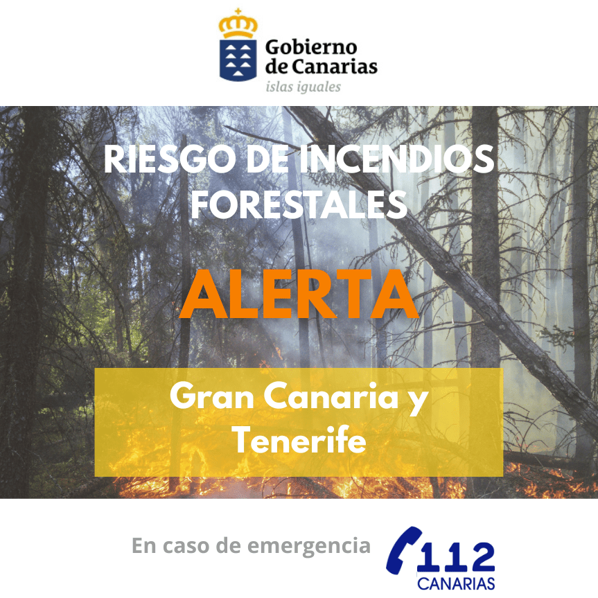Alerta por Riesgo de Incendios Forestales en Gran Canaria y Tenerife: Medidas del Gobierno para Proteger el Entorno Natural