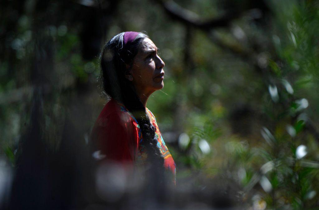 La violencia digital en México: Cómo las redes sociales afectan a los defensores ambientales