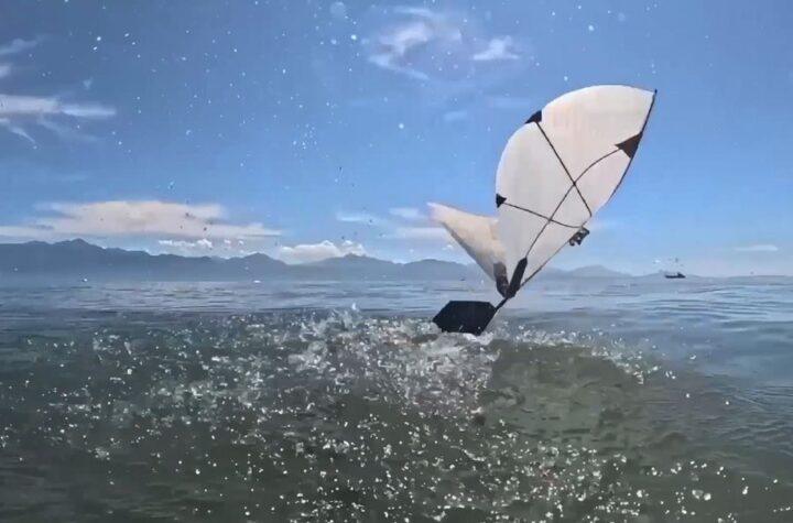 Innovador robot emula aves acuáticas para volar y nadar con alas únicas