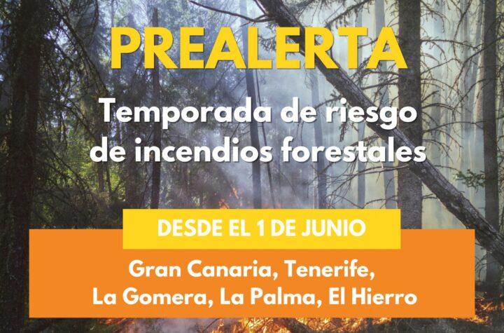 El Gobierno levanta la alerta de incendios forestales en Gran Canaria y las Islas Occidentales: ¡Buenas noticias para la seguridad!