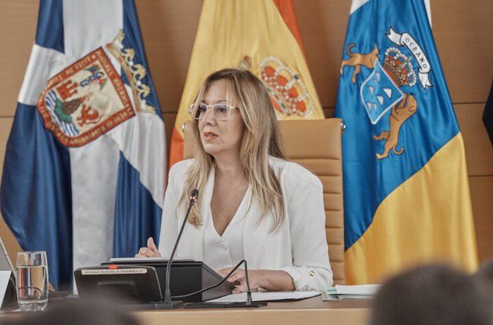 Rosa Dávila solicita a Aena la eliminación de restricciones de movilidad que generan caos en el Aeropuerto de Tenerife Sur