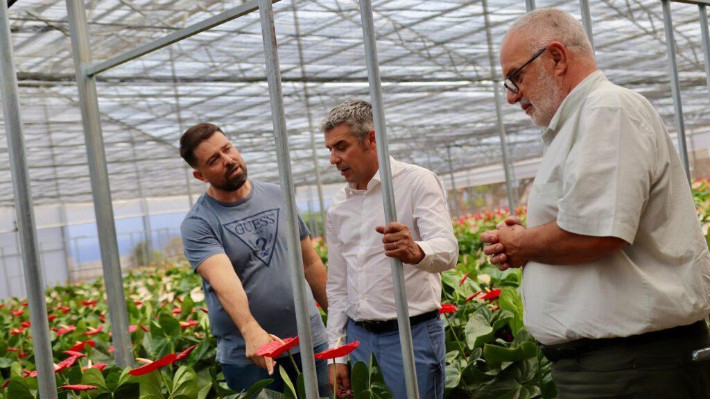 214 Explotaciones en Tenerife Mejorarán sus Instalaciones con Ayudas del PEPAC: ¡Transformación Asegurada!