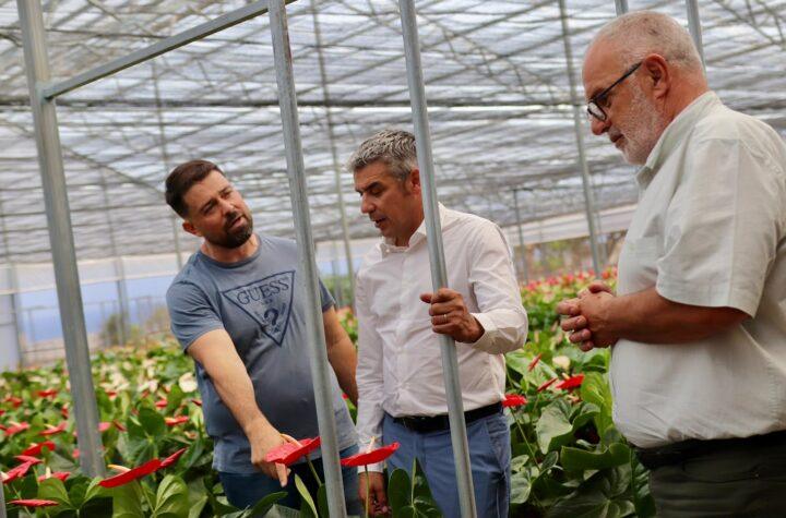 214 Explotaciones en Tenerife Mejorarán sus Instalaciones con Ayudas del PEPAC: ¡Transformación Asegurada!