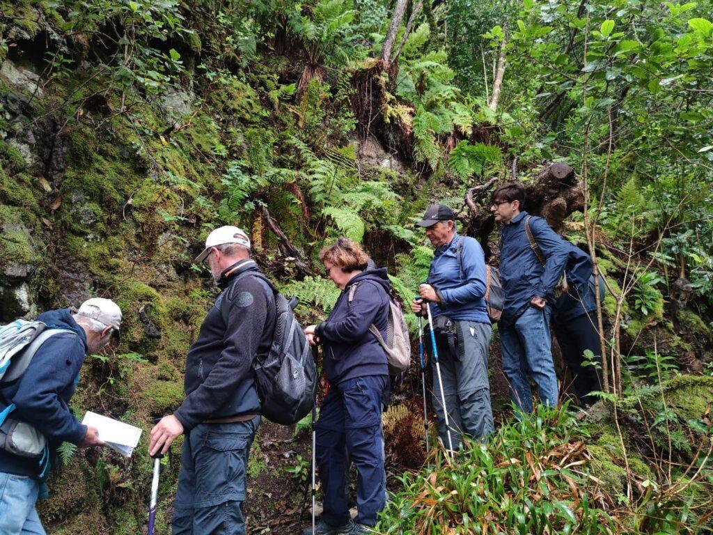 Descubre Las Vueltas de Taganana: Nueva Ruta Guiada por la Asociación Amigos del MUNA