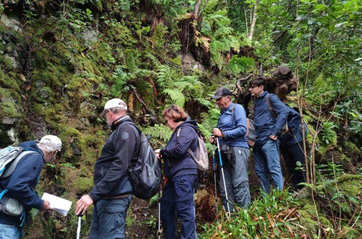 Descubre Las Vueltas de Taganana: Nueva Ruta Guiada por la Asociación Amigos del MUNA