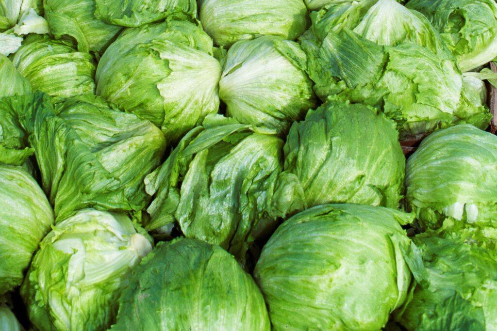 Diarrea explosiva: Causas, síntomas y el brote de lechuga mexicana que debes conocer.