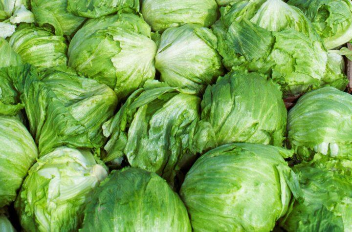 Diarrea explosiva: Causas, síntomas y el brote de lechuga mexicana que debes conocer.