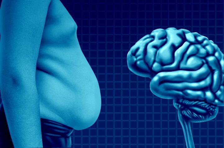 Cómo la ubicación de la grasa corporal afecta tu salud cerebral: descubre lo que dice este estudio