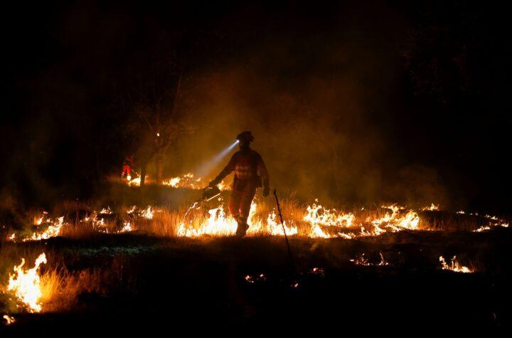 Incendios Forestales en España: La Amenaza del Cambio Climático y su Ciclo Cada Seis Años