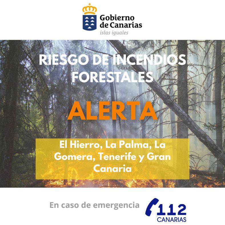Actualización del Gobierno de Canarias sobre el riesgo de incendios forestales en las islas: lo que necesitas saber
