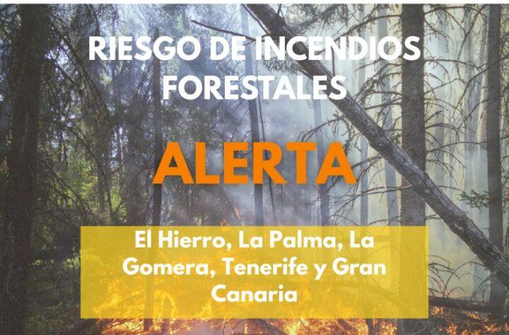 Alerta por Riesgo de Incendios Forestales en Gran Canaria: Actualización del Gobierno de Canarias