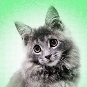 El auge de la IA que manipula tu amor por los animales: ¡una alerta urgente!
