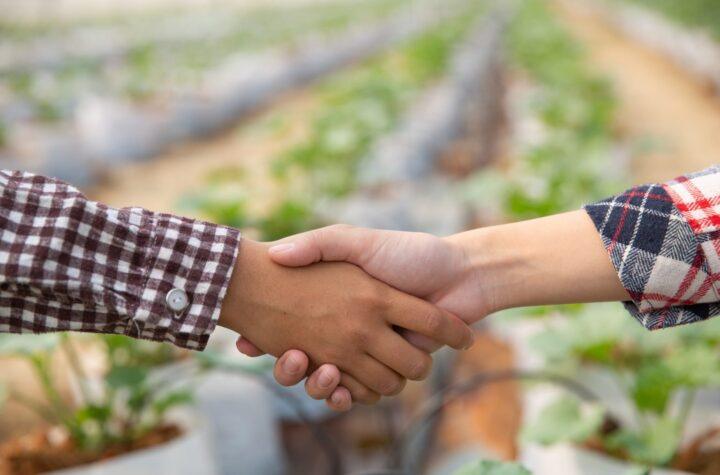Gobierno de Canarias invierte 350.000€ en apoyo a 14 asociaciones profesionales agrarias