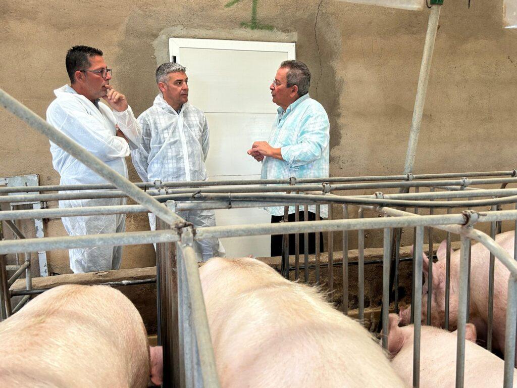 Ayudas PEPAC del Gobierno de Canarias: Modernización de 55 Explotaciones Ganaderas para un Futuro Sostenible