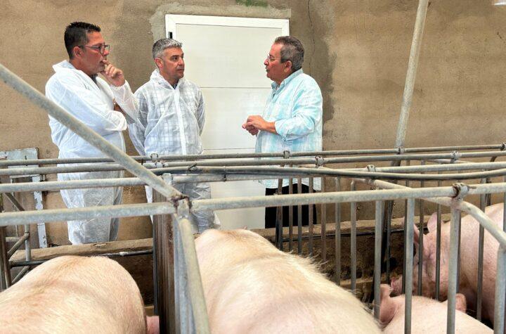 Ayudas PEPAC del Gobierno de Canarias: Modernización de 55 Explotaciones Ganaderas para un Futuro Sostenible
