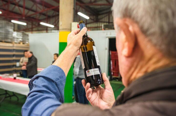El Cabildo Finaliza su Participación en el Accionariado de Bodegas Insulares: ¿Qué Significa para el Futuro del Sector?