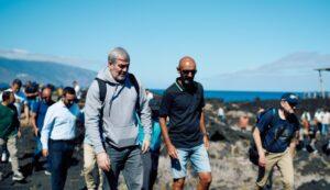 Innovadoras Técnicas para Erradicar el Rabo de Gato: Análisis del Gobierno en La Gomera
