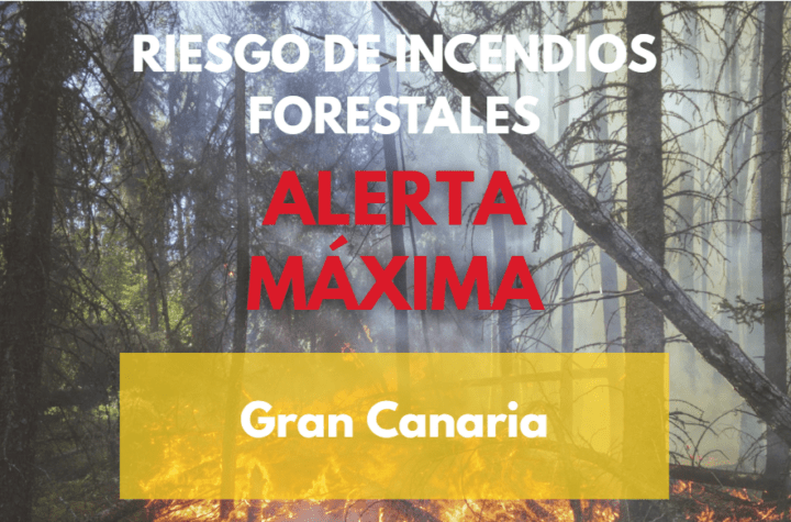 Gobierno Eleva Alerta Máxima por Riesgo de Incendios Forestales en Gran Canaria: Últimas Actualizaciones
