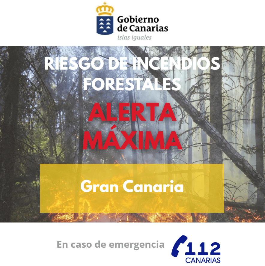 Gobierno Eleva Alerta Máxima por Riesgo de Incendios Forestales en Gran Canaria: Últimas Actualizaciones