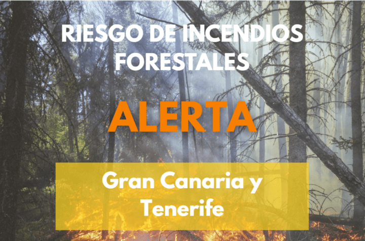 Gobierno eleva alerta por riesgo de incendios forestales en Gran Canaria y Tenerife: ¡Prepárate!