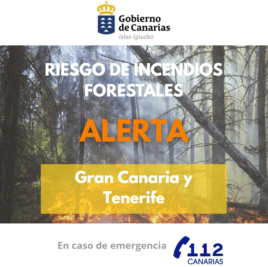 Gobierno eleva alerta por riesgo de incendios forestales en Gran Canaria y Tenerife: ¡Prepárate!