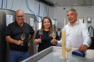 Rebusco Bodegas: Innovación y Diversificación Vitivinícola en el Valle de Güímar