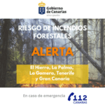 Alerta por Riesgo de Incendios Forestales en Gran Canaria e Islas Occidentales: Actualización del Gobierno