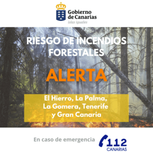 Alerta por Riesgo de Incendios Forestales en Gran Canaria e Islas Occidentales: Actualización del Gobierno