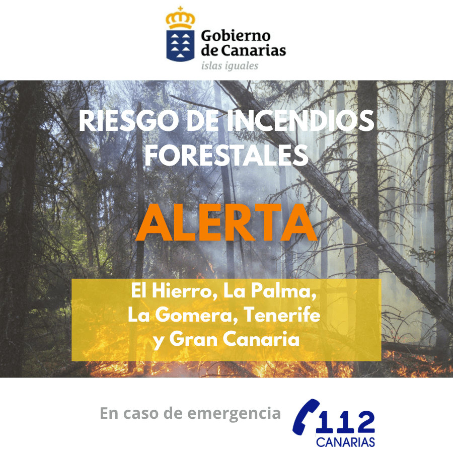 Alerta por Riesgo de Incendios Forestales en Gran Canaria e Islas Occidentales: Actualización del Gobierno