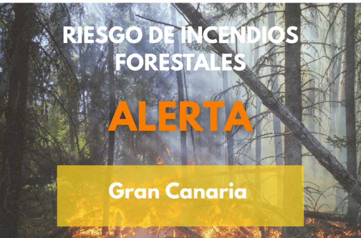 Gobierno Renueva Alerta por Riesgo de Incendio Forestal en Gran Canaria: Medidas y Precauciones