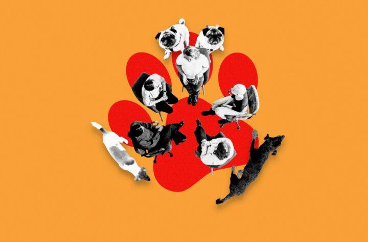 "Grupo de Apoyo para Dueños de Perros: Cómo Manejar el Agobio y el Amor por tu Mascota"