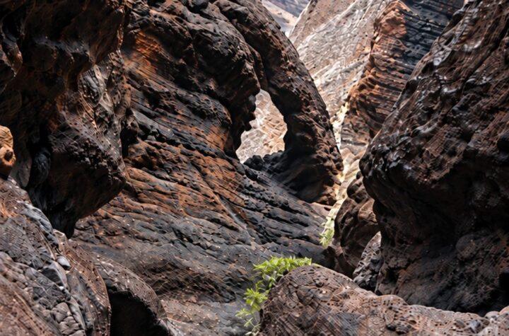 Descubre el Patrimonio Natural de Teno: 600 Jóvenes Participan en el Programa 'Masca y Jóvenes' del Cabildo