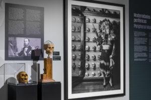 Descubre la Exposición 'Concomitancias': Vínculos Indígenas entre Canarias y México en el MUNA