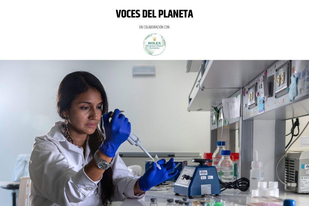 Abejas sin aguijón de la Amazonía obtienen derechos legales gracias a la labor de una científica peruana