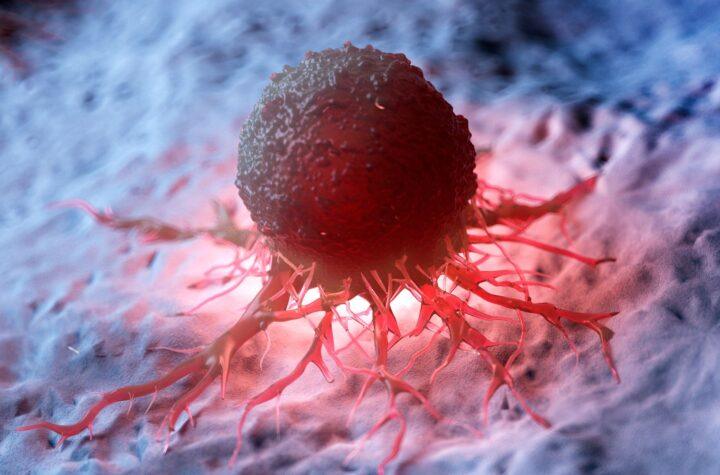 Innovadora terapia contra el cáncer: reprogramación del sistema inmunitario mediante nanopartículas inteligentes