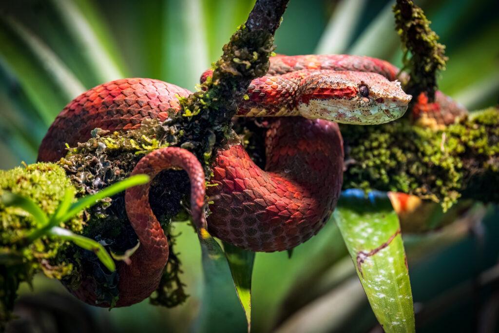 Participa en la XIII Edición del Concurso Internacional de Fotografía de Naturaleza Naturajazz: Inscripciones Abiertas