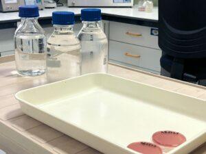 Tenerife: 99% de las Zonas de Aguas de Baño Calificadas como Aptas por Salud Pública