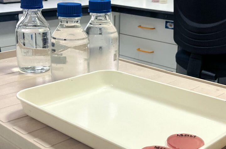 Tenerife: 99% de las Zonas de Aguas de Baño Calificadas como Aptas por Salud Pública
