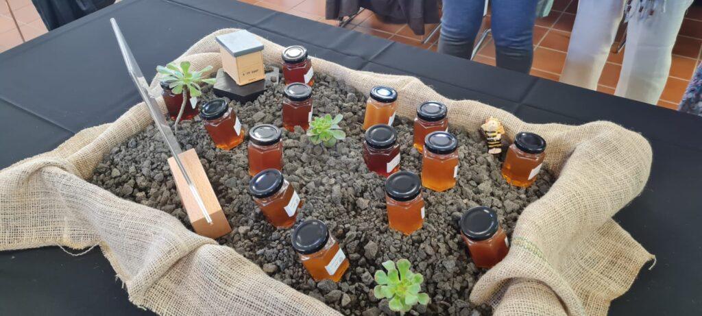 Cabildo de Tenerife Potencia la Producción y Venta de Miel con Nuevas Subvenciones