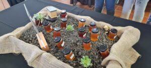 Cabildo de Tenerife Potencia la Producción y Venta de Miel con Nuevas Subvenciones