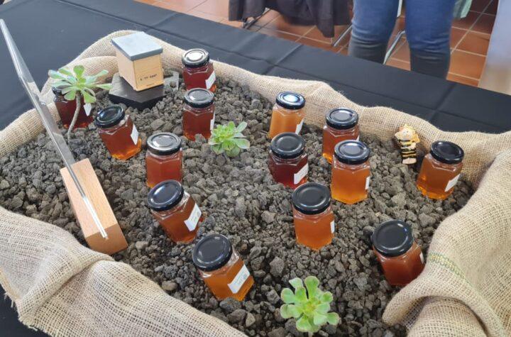 Cabildo de Tenerife Potencia la Producción y Venta de Miel con Nuevas Subvenciones